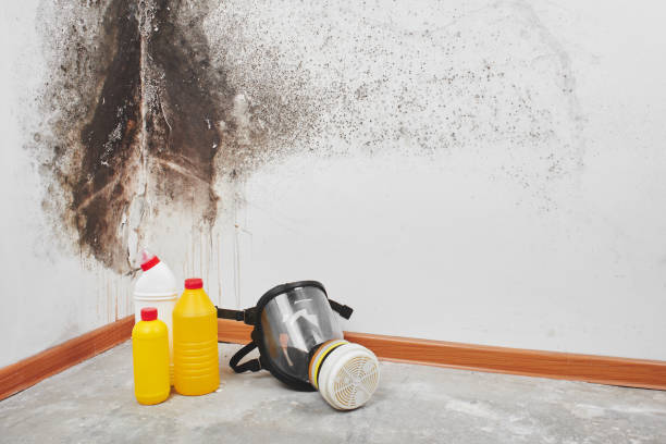 Goldthwaite, TX Mold Remediation Company