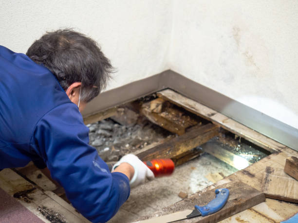 Best Post-Remediation Services in Goldthwaite, TX