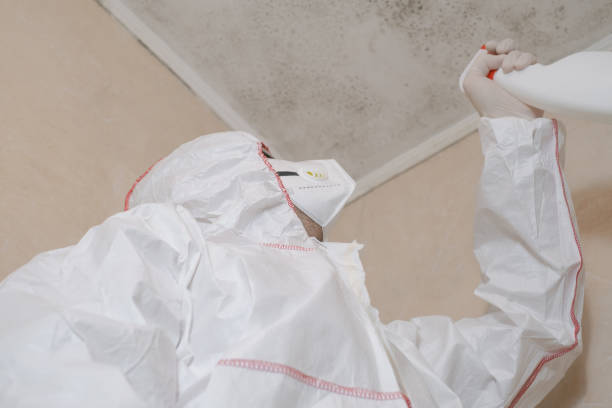 Best Industrial Mold Remediation in Goldthwaite, TX