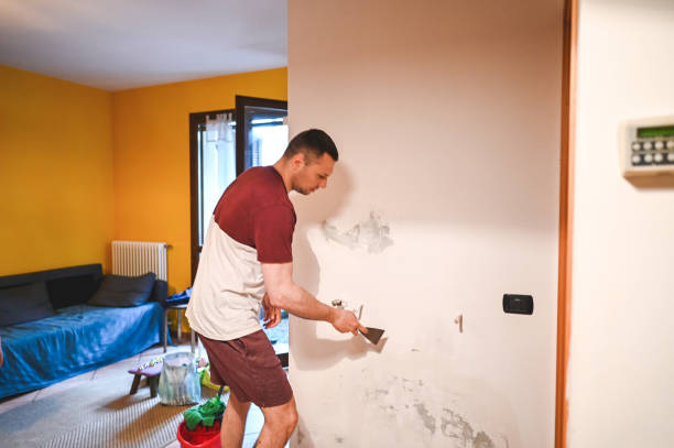 Best Localized Mold Remediation (e.g., coastal areas, humid climates) in Goldthwaite, TX