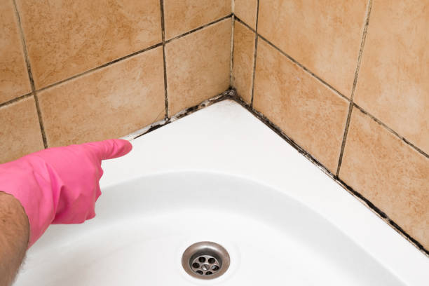 Best Mold Testing and Inspection Services in Goldthwaite, TX